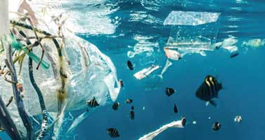 Plastic pollution