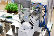Robotic solutions experts On Robot