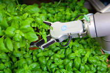 On Robot’s RG6 gripper 